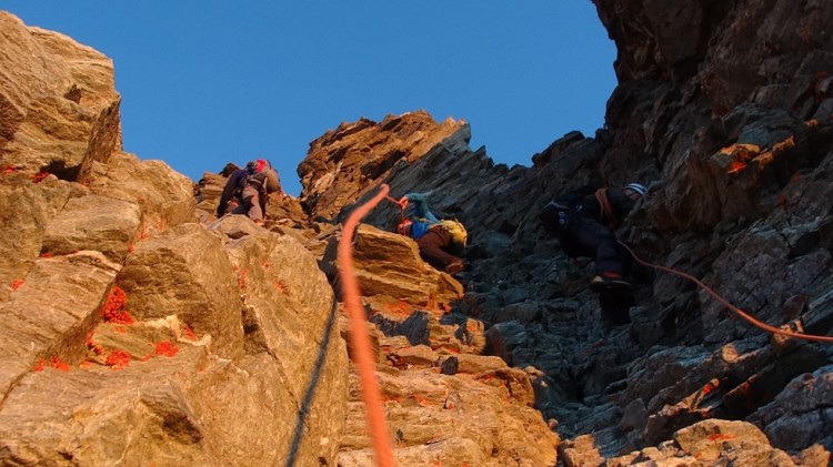 Placa Moseley Inferior