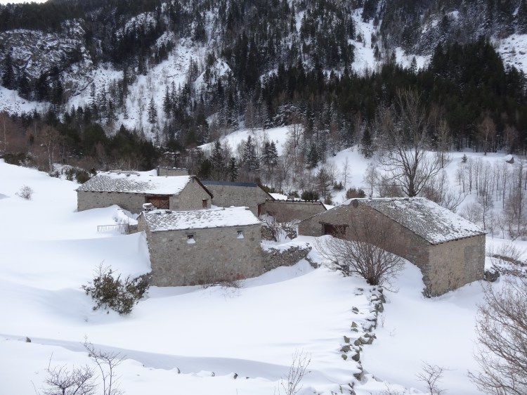 Ramio de camino a Fontverd en invierno
