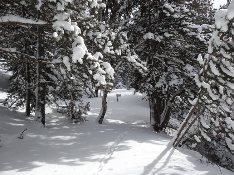 Caminio a Fontverd, cartel enterrado