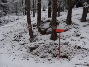 Lillaz Gully - Cogne - Aosta - Italia