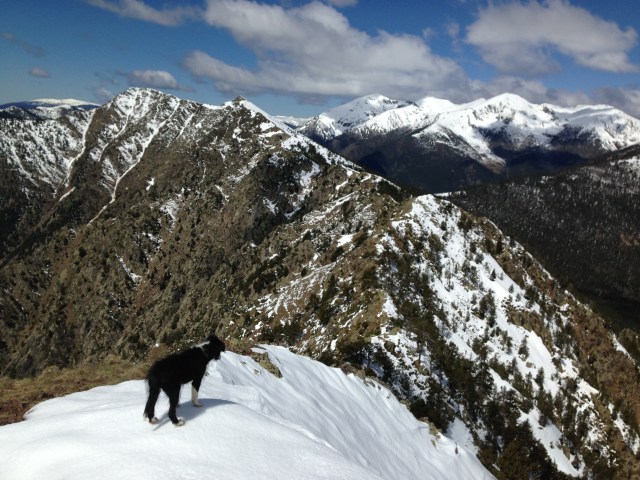 Cima del pico de Carroi