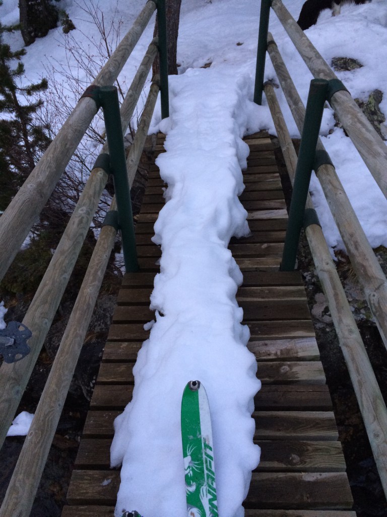 Primer Puente Comapedrosa