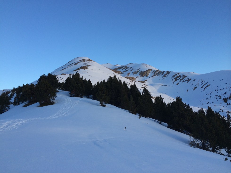 Camino al Caasamanya despues del bosque claro