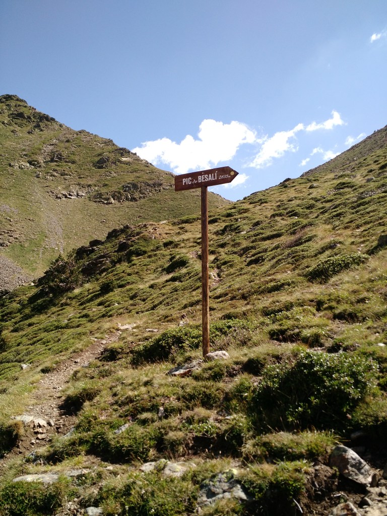 Este cartel lo encontramos bajando de Besalí, li lo veís antes de llegar a la Font Blanca, rápido a la izquierda!