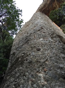 El Faraó de Abaix escalada deportiva el Bruc